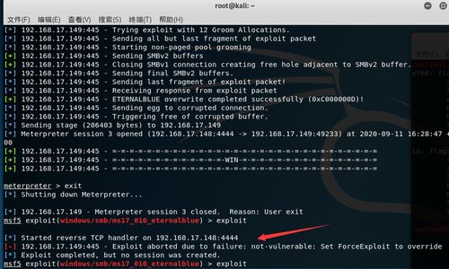 Kali Linux系統(tǒng)下防御永恒之藍勒索病毒實戰(zhàn)指南 網(wǎng)絡(luò)安全工程師的技術(shù)服務(wù)詳解