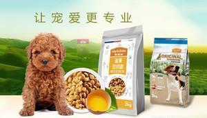 中國十大寵物食品品牌榜中榜 科學(xué)喂養(yǎng)，從選對主糧與零食開始