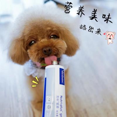 專業(yè)高效，合規(guī)清關(guān) 荷蘭寵物魚油膠囊進(jìn)口報(bào)關(guān)全程指南