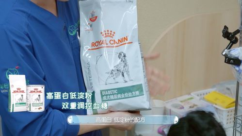 皇家寵物食品與《寵物醫生2》攜手 守護毛孩健康，以專業與關愛治愈回歸